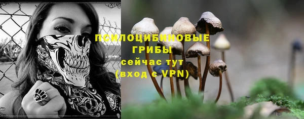 эйфоретик Армянск